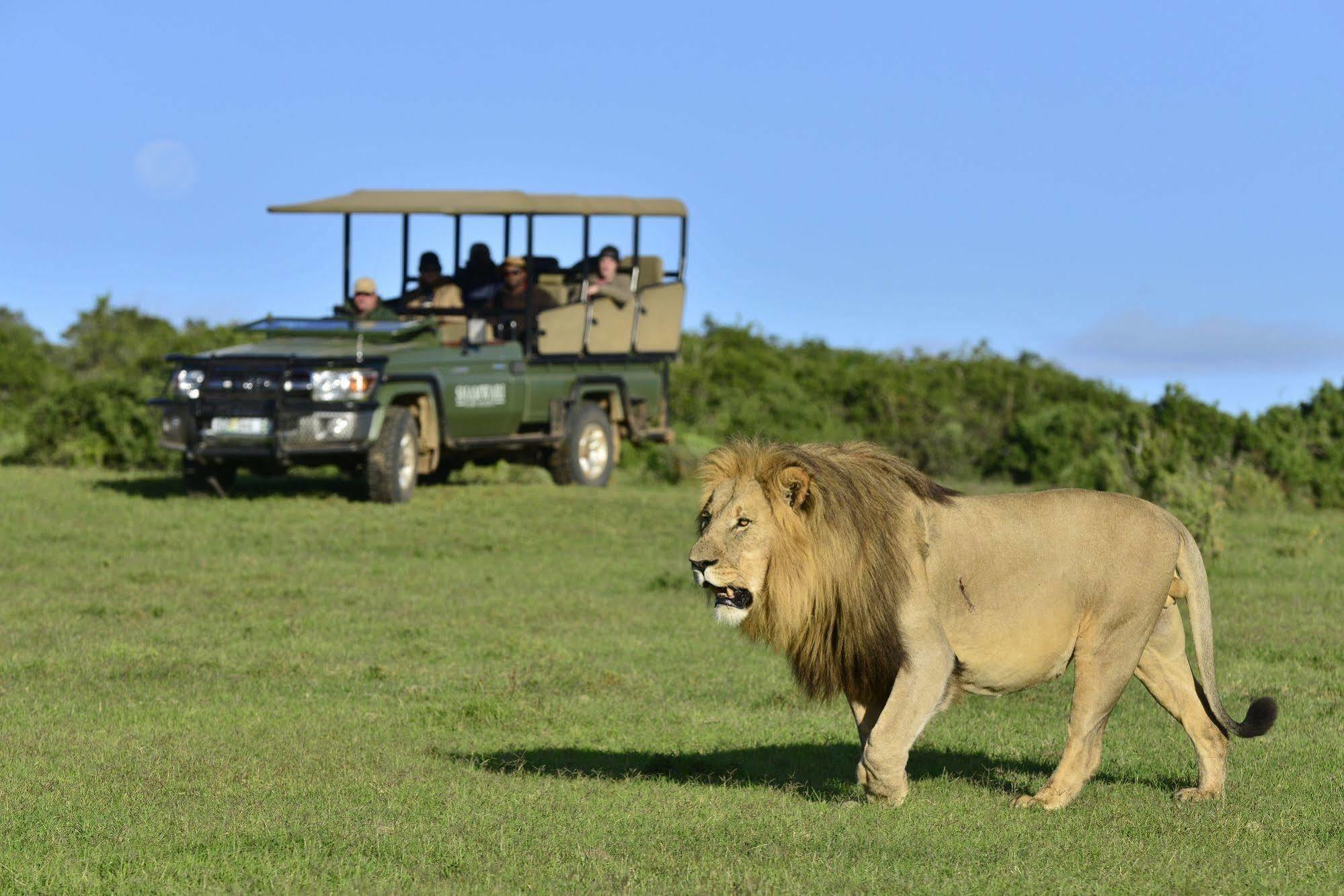 Shamwari Game Reserve Port Elizabeth Exteriér fotografie