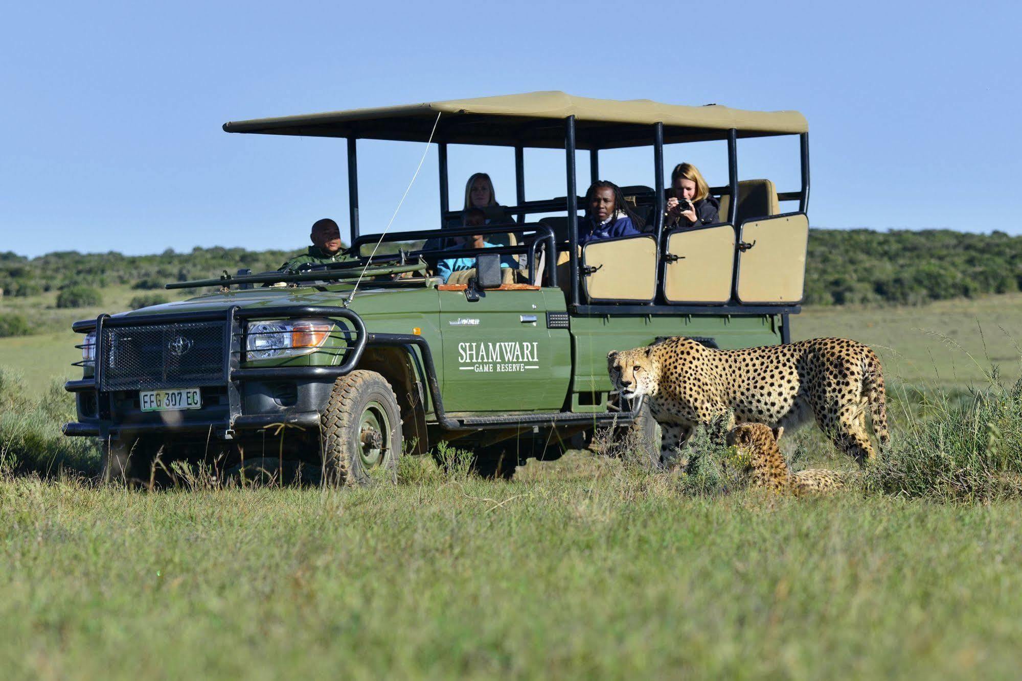 Shamwari Game Reserve Port Elizabeth Exteriér fotografie